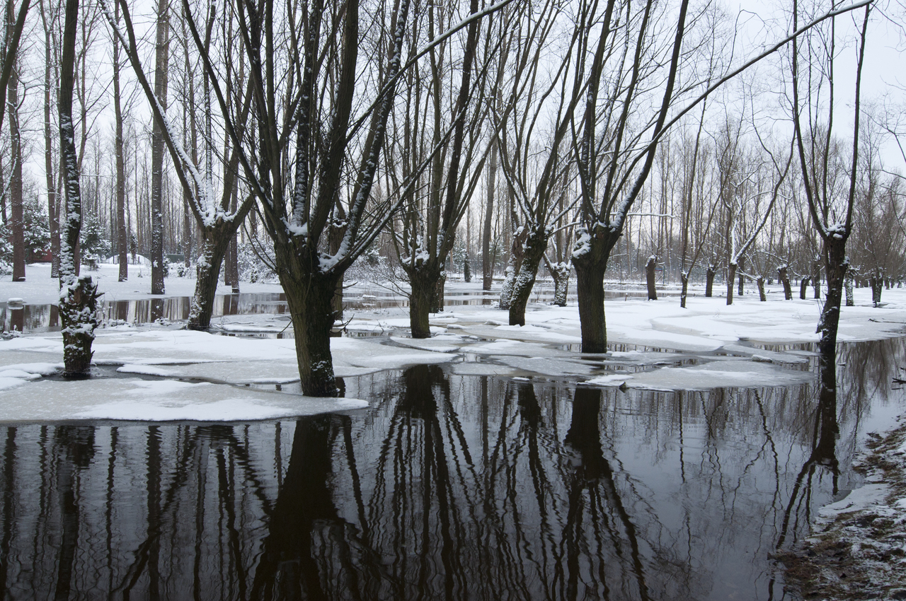 Array. Kliknij by wrócić.