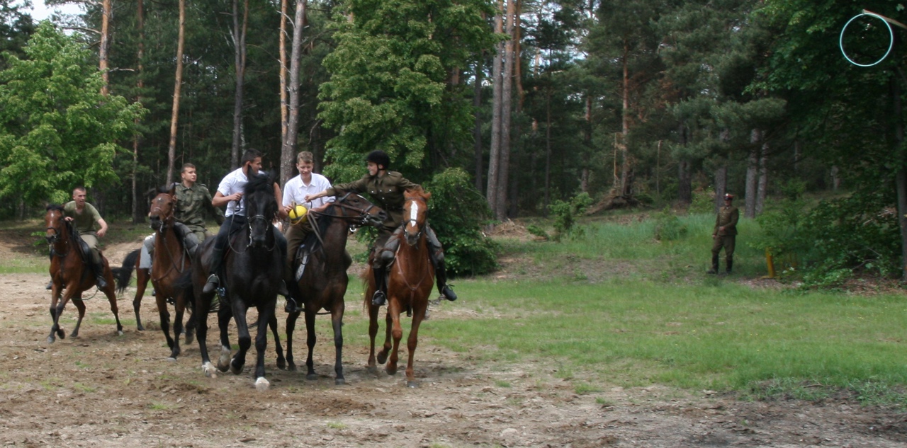 Array. Kliknij by wrócić.