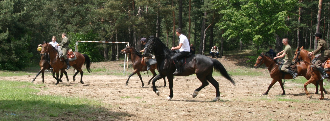 Array. Kliknij by wrócić.