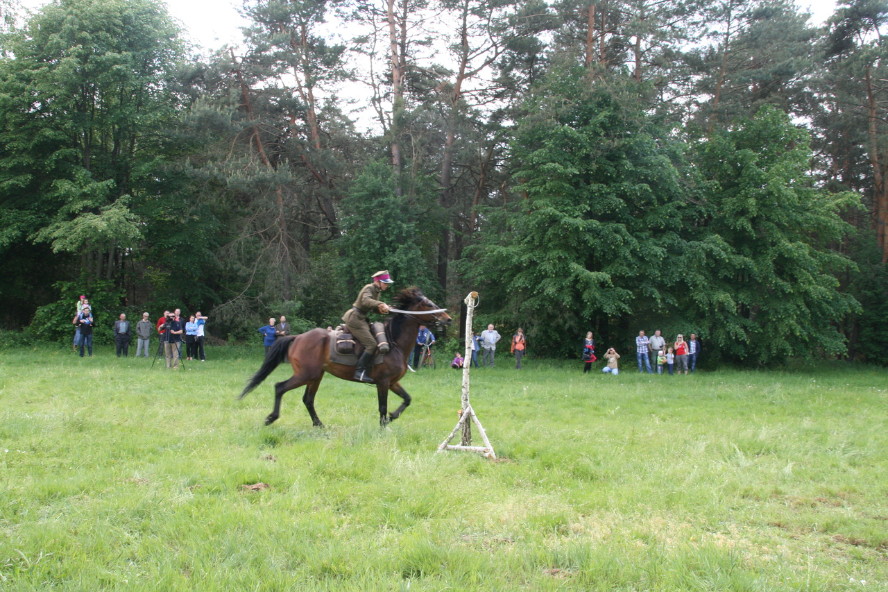 Array. Kliknij by wrócić.