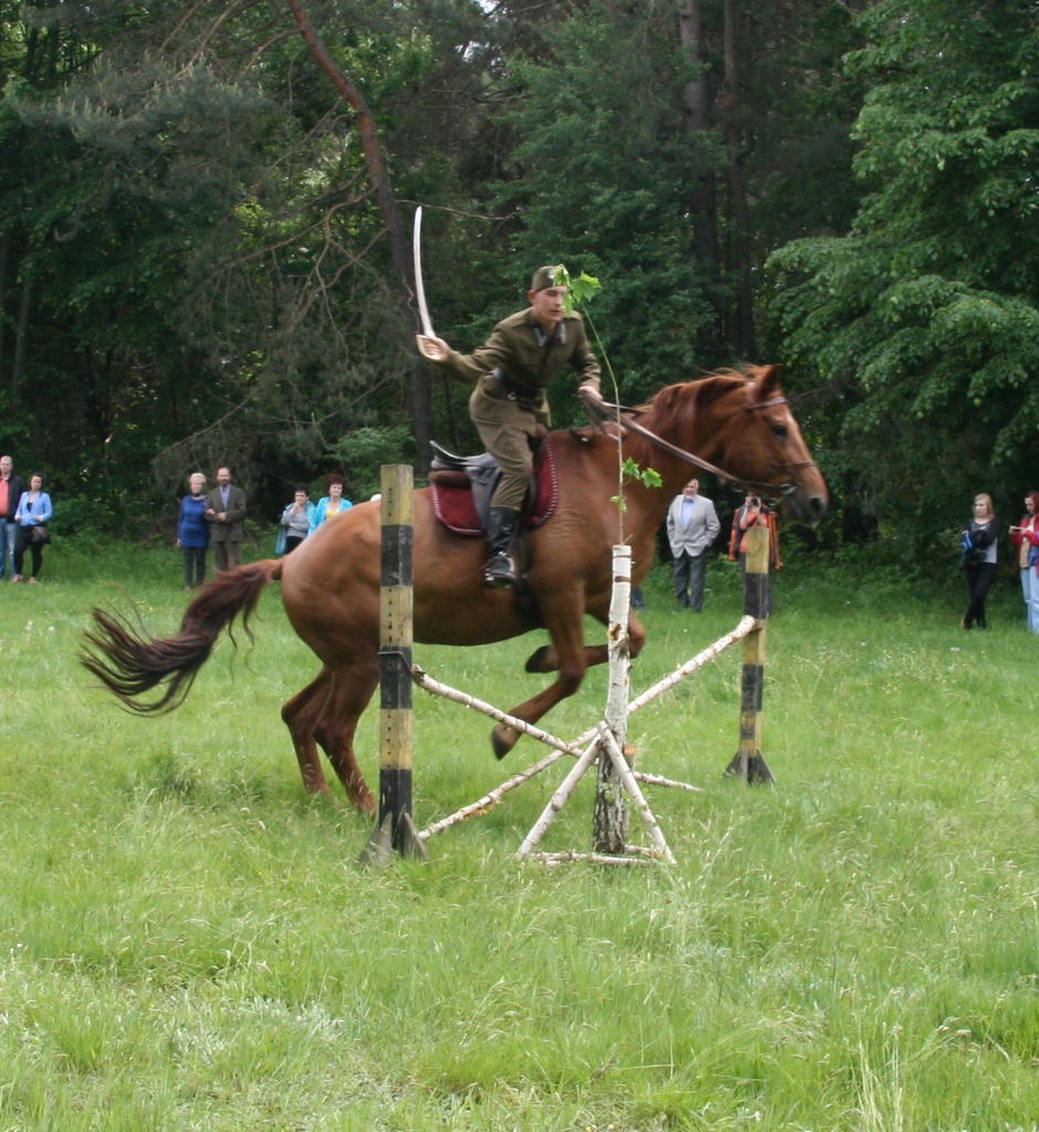 Array. Kliknij by wrócić.