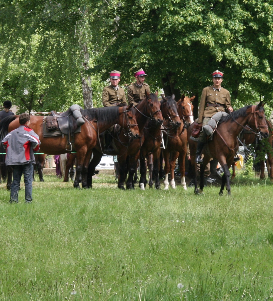 Array. Kliknij by wrócić.