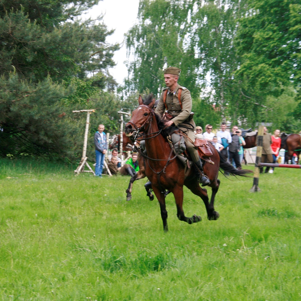 Array. Kliknij by wrócić.