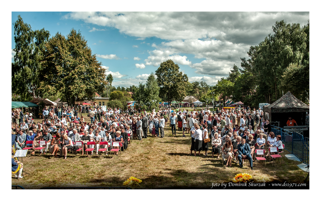 Array. Kliknij by wrócić.