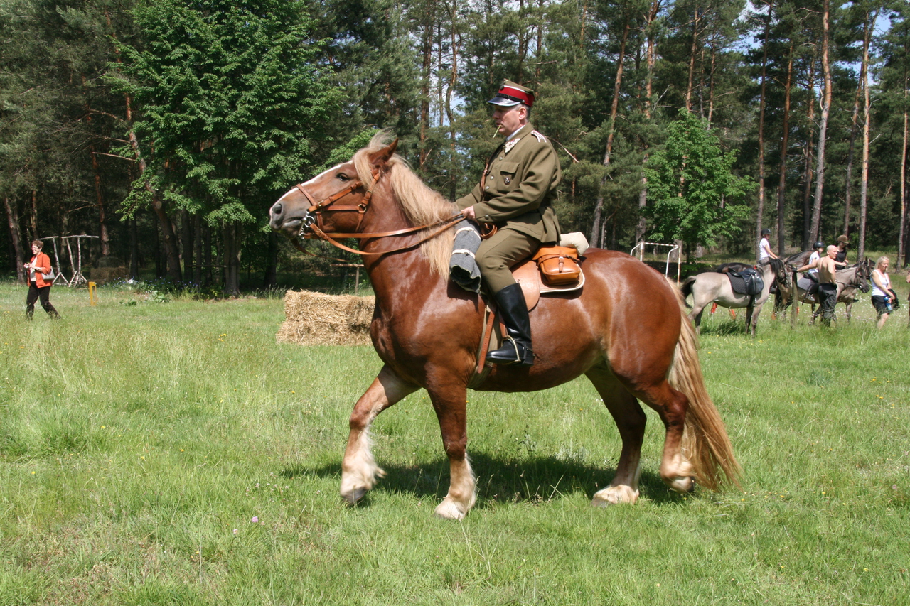 Array. Kliknij by wrócić.