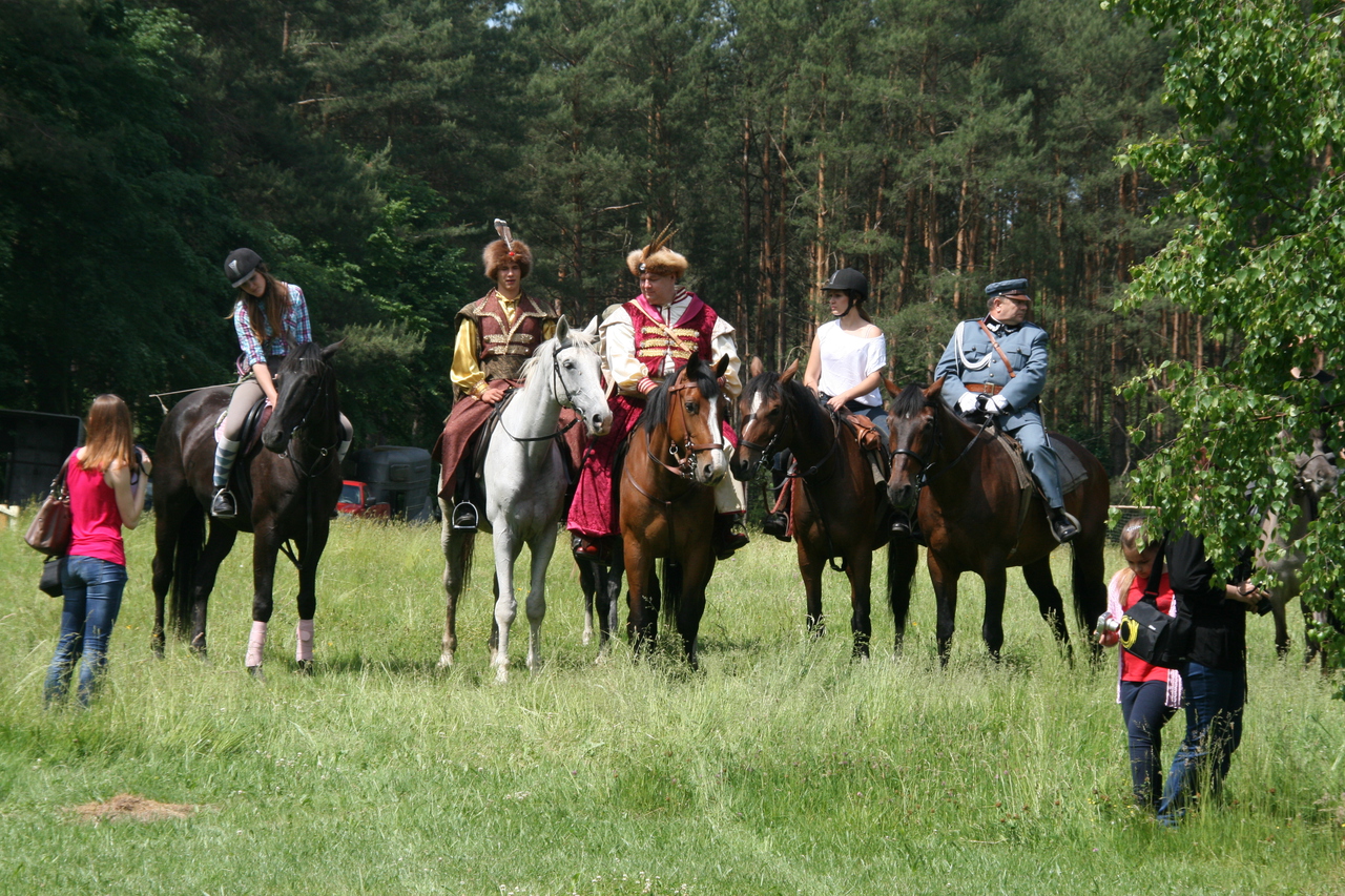 Array. Kliknij by wrócić.