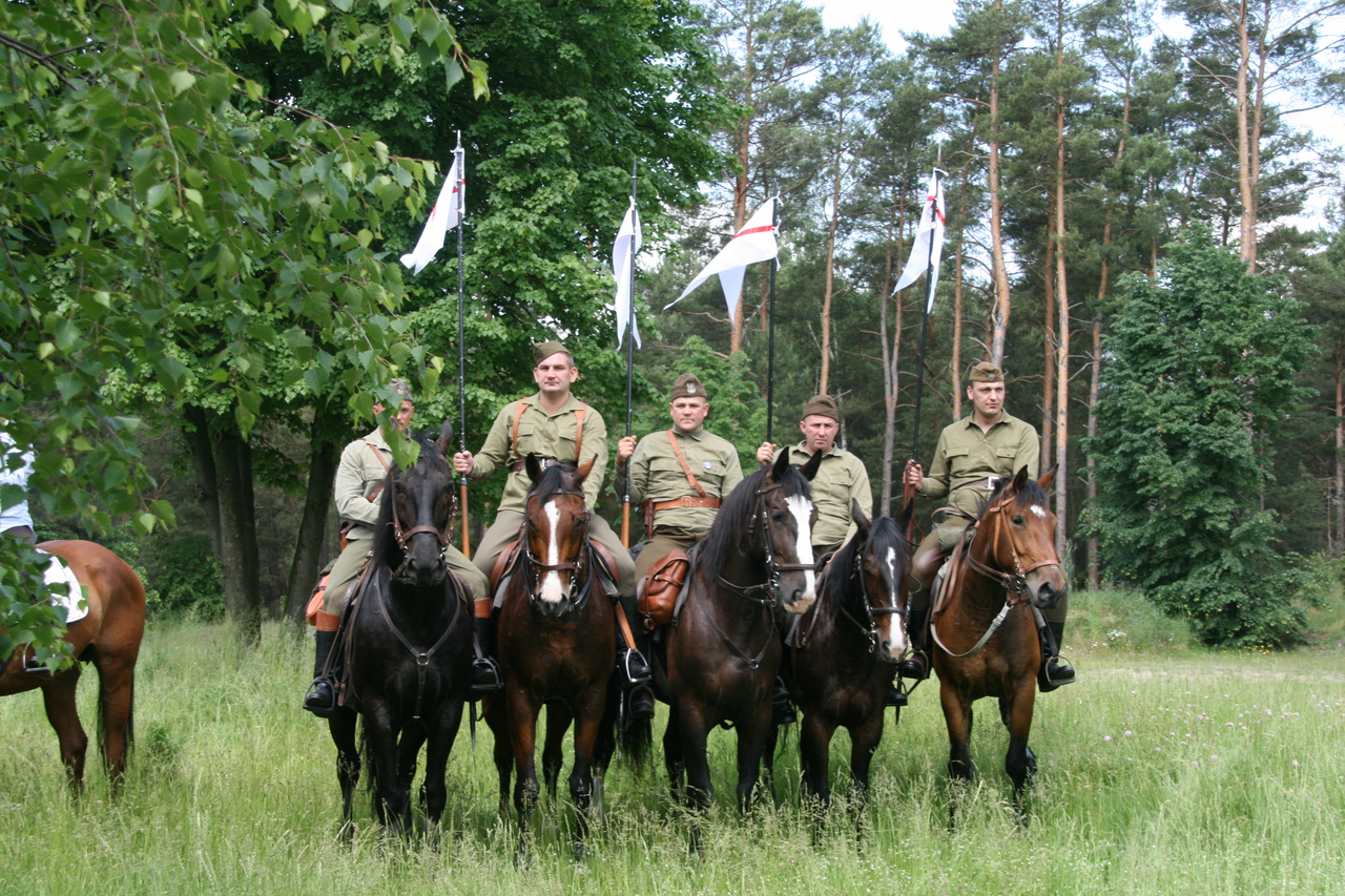 Array. Kliknij by wrócić.